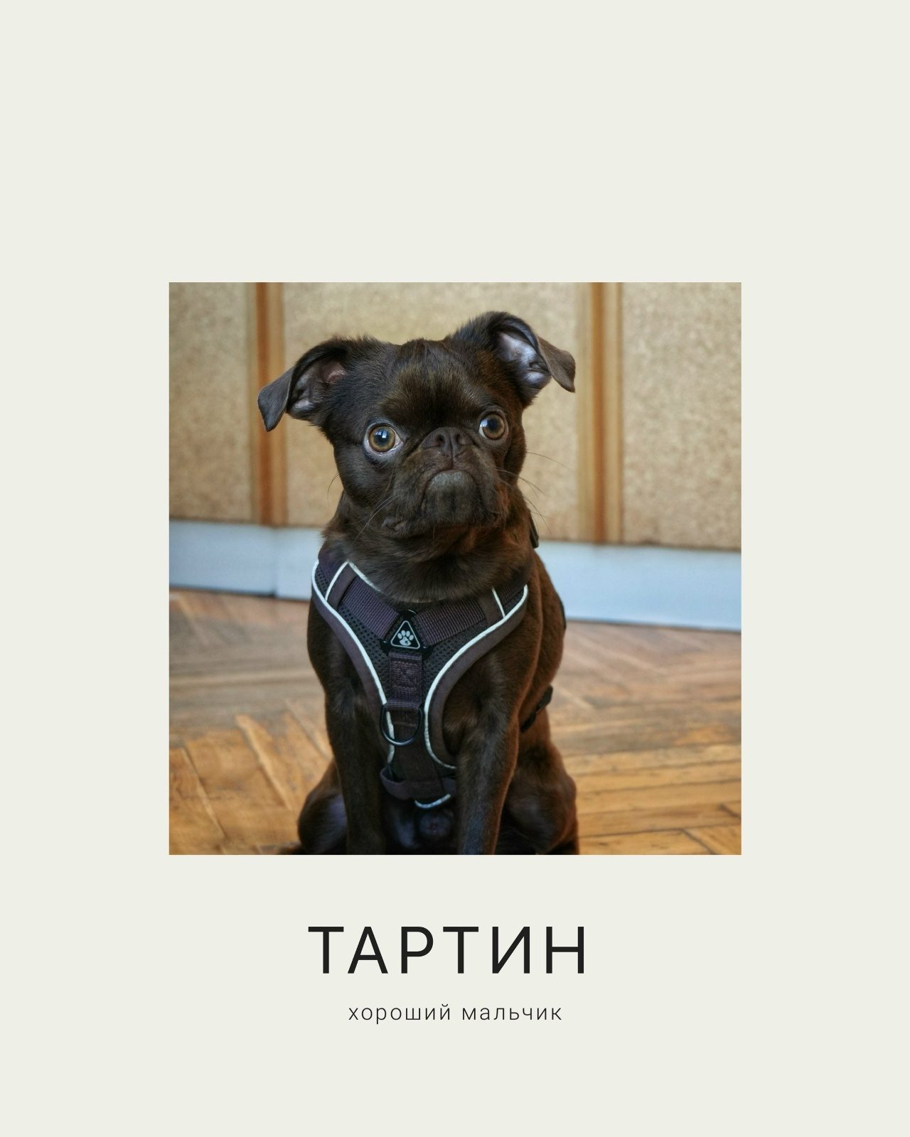 Десерты Пекарня Fink